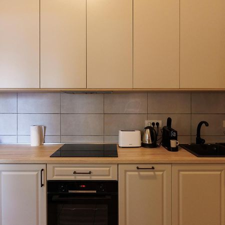 Victoriei Square Apartment ティミショアラ エクステリア 写真